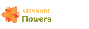 Flowers Stanmore
