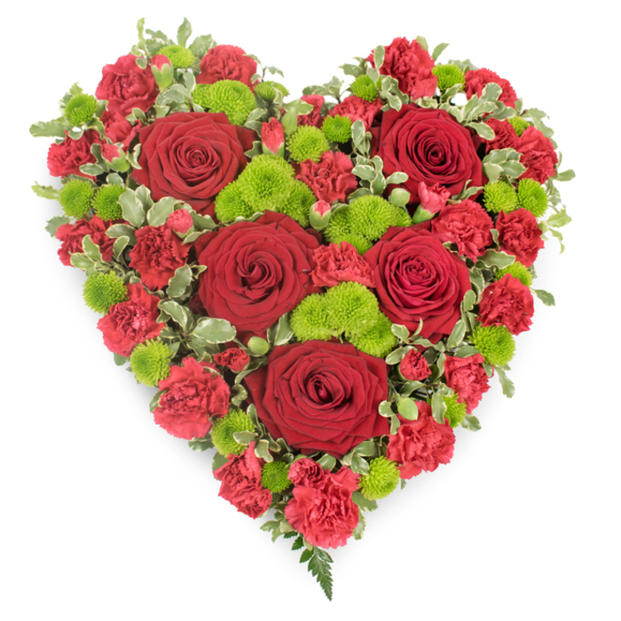 The photograph showcases a beautifully composed, heart-shaped funeral tribute, presented on a clean white background that makes every flower and leaf stand out in crisp detail. The heart is compact and full, formed from an abundance of rich red blooms. Six prominent roses sit evenly across the design, their deep crimson petals arranged in tight, elegant spirals that gradually open towards the edges. Each rose feels like a small, intimate gesture of love. Surrounding these are numerous red carnations, their softly frilled petals layered so closely that they create a continuous, velvety texture, filling the heart from side to side and reinforcing its symbolic shape. Interwoven between the red flowers are clusters of bright lime-green button chrysanthemums, their small, spherical heads rising slightly above the carnations to catch the light. This vivid green provides a welcome contrast, breaking up the solid red and adding a sense of freshness and hope. Around the outer edge and tucked among some of the blooms, you can see variegated foliage-green leaves with fine, creamy white margins-giving the heart a gently scalloped, natural border. At the pointed tip, delicate fern fronds trail outward, lending a graceful, feathery finish that softens the overall silhouette. The design is carefully balanced and symmetrical, reflecting the quiet dignity appropriate for a farewell. It is the kind of tribute often chosen in Stanmore for services at local churches or crematoriums, a heartfelt floral message that expresses enduring affection, respect, and remembrance for a loved one whose life is being honoured.