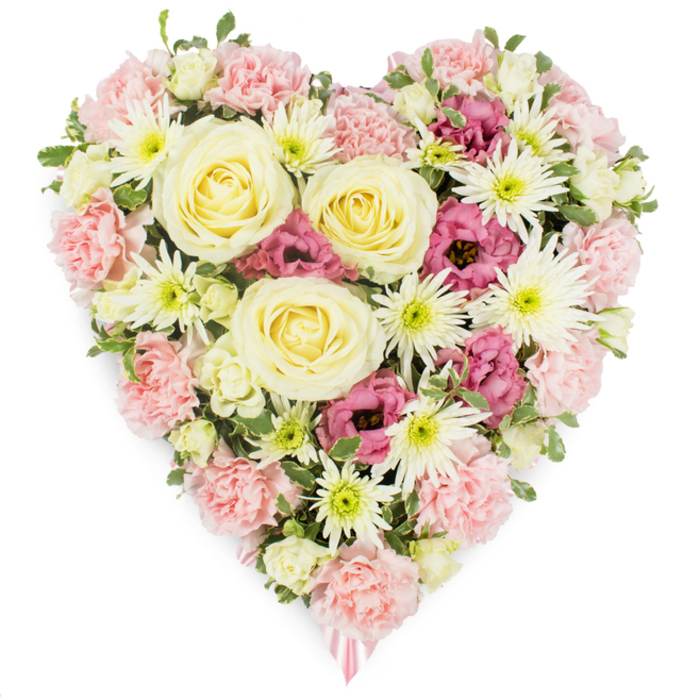 A full, heart-shaped floral arrangement appears centrally against a completely white background, its carefully blended colours and textures creating a tender, soothing impression. The heart is densely packed, with each bloom snugly nestled into the next, evoking the feeling of an unbroken embrace. Pastel pink carnations provide the main structure, tracing the outer shape and filling much of the interior; their ruffled, multi-layered petals lie like soft fabric, lending volume and a romantic haze of colour. Positioned thoughtfully throughout are several large cream-to-pale-yellow roses, with perfectly coiled centres and gently opening outer petals that suggest peace, remembrance, and unwavering affection. Between these roses, white spider chrysanthemums introduce a fine, almost feathery texture; their slim, elongated petals radiate from fresh green centres, bringing a brightness that gently lifts the design. Around them, clusters of deep magenta and mauve-pink lisianthus are tucked in, their cup-shaped, slightly crimped blooms adding deeper tones that echo the weight of grief and the richness of shared memories. Small pieces of fresh green foliage weave in and out between blossoms, breaking up the pastels just enough to keep the tribute lively and true to nature, like the borders and gardens seen along Stanmore's quiet residential roads. At the pointed base of the heart, a slender pink ribbon tip is just visible, hinting at the finishing touches often added for funerals and memorial services. The white studio-style background and even lighting draw all attention to the flowers themselves, allowing the viewer to sense the care, skill, and heartfelt intention behind a tribute that might be chosen in Stanmore to say a final, beautiful goodbye.