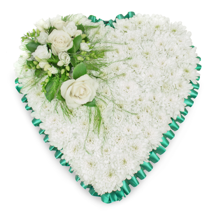 A classic heart-shaped funeral arrangement is shown in close detail, conveying a sense of tranquillity and heartfelt remembrance. The central body of the heart is composed of numerous small white chrysanthemums, each bloom placed tightly beside the next so that there are no gaps, only a continuous, textured layer of petals. This creates a gentle, cushion-like effect, inviting thoughts of comfort and rest. The pure white of the flowers feels calm and respectful, well suited to farewell ceremonies in Stanmore's quiet residential streets and nearby places of worship. Surrounding the entire heart, an emerald green satin ribbon forms a precise border. The ribbon is pleated into a series of regular, scalloped folds, giving the arrangement a structured finish and adding a subtle shimmer as the light catches the fabric. In the upper left curve of the heart lies a beautifully composed focal cluster. Two prominent white roses, fully opened, are the stars of this accent, their lush petals layered in generous whorls. They are accompanied by smaller white flowers-likely freesias or similar delicate blooms-whose lighter, more intricate petals add contrast and detail. A variety of greenery, including broad, dark green leaves and fine, feathery fronds, surrounds the flowers and drapes softly across the chrysanthemum background, adding depth and a hint of natural movement. The white backdrop of the image ensures every nuance of petal and ribbon is clearly defined. This floral heart, crafted in the timeless style favoured by local experts at Flowers Stanmore, would be placed with care at a coffin side, crematorium chapel, or graveside, offering a dignified, eloquent tribute when words feel insufficient.