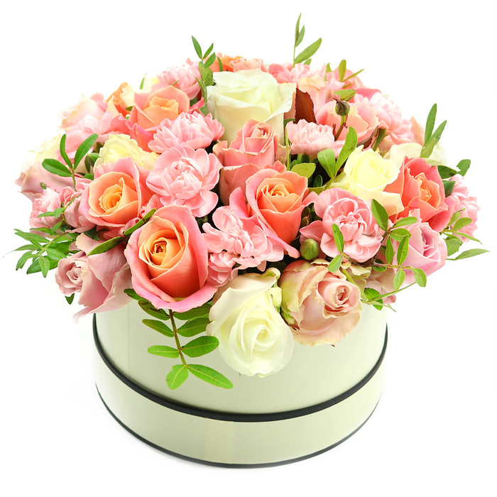 A sumptuous, meticulously composed floral dome fills a round cream hatbox, its matte surface accented by two slim dark bands at the top and base that give the piece a timeless, tailored look. The bouquet is dense and rounded, predominantly made up of several varieties of roses and an abundance of pale pink carnations that together create a layered, painterly effect. Many roses reveal a luminous centre of coral-peach or warm apricot that gently fades to blush pink and soft ivory toward the petal edges, while other buds remain tighter, promising further opening and life. The carnations-small, frilly, and light baby pink-pepper the arrangement with texture, their ruffled petals nestling among broader rose blooms to fill the silhouette with softness. Fresh, bright green shoots with narrow leaves emerge sparingly, offering crisp highlights and natural structure that prevent the palette from feeling too saccharine. Photographed against a stark white background, every colour gradation and petal curve is clear, and the floral craftsmanship is evident in the even dome and balanced clusters. The tactile contrast between velvety rose petals and the feathery carnation edges creates an inviting, luxurious feel, suited to occasions that require both elegance and warmth: birthdays, anniversaries, Valentine's Day, Mother's Day, or as a refined thank-you or condolence gift. This arrangement, arranged with local sensibility and an eye for detail, reflects the calm, leafy character of Stanmore Hill while remaining quietly celebratory and deeply personal.