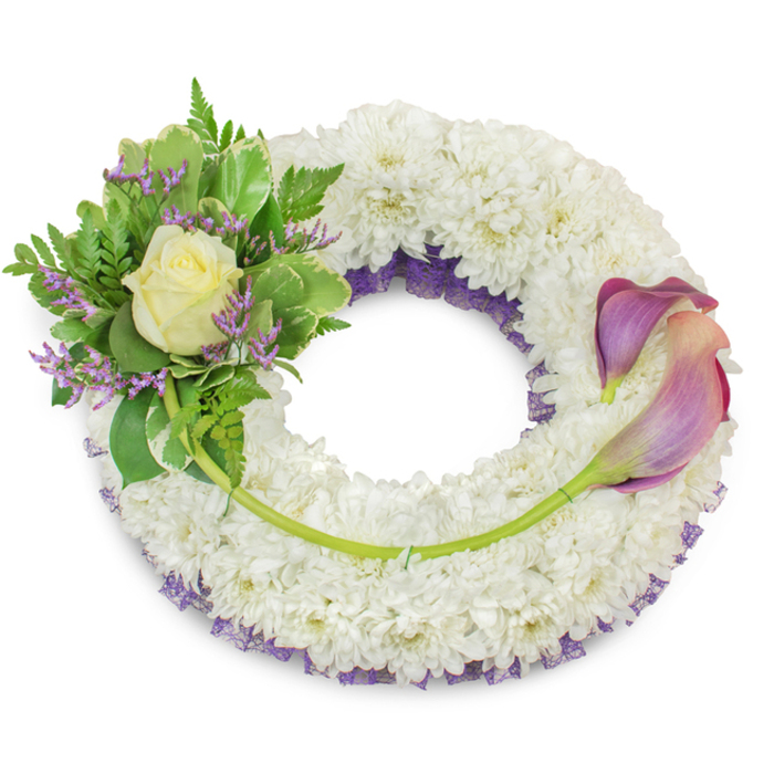 A large, dignified circular wreath photographed against a clear white background, its main body composed of closely set white chrysanthemum florets that form a thick, pillowy ring suggesting peace and purity. Beneath the pristine top layer, a band of deep purple netting or ruffled lace is visible along inner and outer edges, adding measured contrast and an understated richness to the composition. The upper-left segment features a tightly arranged cluster: at its centre sits a single, perfect cream-to-pale-yellow rose whose slightly unfurled petals catch the light, set amidst a variety of green foliage - broader variegated leaves with paler margins and delicate fern fronds that add both structure and a soft, feathery silhouette. Interspersed among the greens are small sprays of lavender-purple statice, their compact, papery blooms giving an additional thread of colour and texture. To the right, spanning roughly from two o'clock down to five o'clock, two graceful calla lilies lay across the chrysanthemum base; the lilies' trumpets exhibit a smooth gradient from rich purple at the edges to a soft peach-pink nearer the stems, their sleek green stalks following the lower-right arc and integrating the floral elements. A single longer green stem reaches across the lower wreath from the left cluster, discreetly secured and pointing toward the base of the callas, creating a subtle diagonal that balances the design. Illuminated by gentle, diffuse light, this sympathy wreath reads as composed and comforting-an arrangement suited to funerals, memorials and private remembrances in the Stanmore and Bentley Priory area.