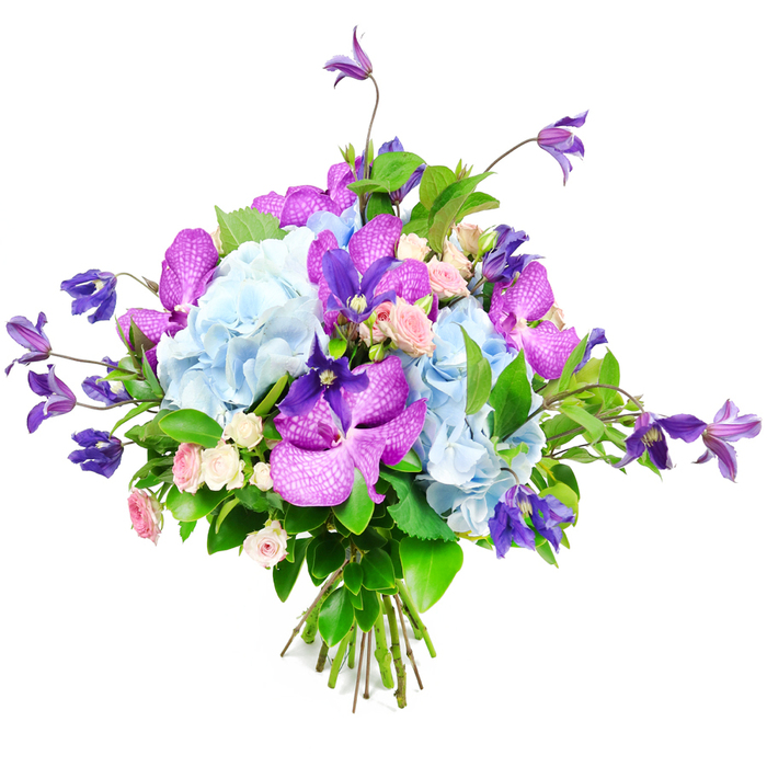 This image presents a luxurious bouquet displayed against a clear white background, its colours and textures standing out with the quiet confidence of a carefully crafted Stanmore floral design. Centre stage are several large heads of sky-blue hydrangea, their many tiny petals overlapping to form generous, cushion-like domes that suggest softness and calm, much like the gentle skies often seen over the leafy streets near Stanmore Hill. Interlaced among these hydrangeas are eye-catching orchids in shades of fuchsia and deep purple, probably Vanda or Phalaenopsis varieties, whose broad petals are patterned with delicate speckles and fine veins. These orchids bring a signature touch of exotic elegance, turning the bouquet into a statement piece. Emerging from the heart of the arrangement and trailing from its edges, deep purple clematis blooms climb on slender, flexible stems, their characteristic star and bell shapes adding graceful lines and a sense of natural, almost untamed beauty, as though they've been gathered from a well-loved garden near Canons Park. Tucked between the larger blooms, miniature roses in blush pink and creamy white create small pockets of romance, their layered petals unfolding in gentle spirals that contrast with the bolder shapes of the orchids and hydrangeas. A rich array of green foliage surrounds and supports the flowers, with glossy leaves and varied textures giving structure, depth, and a cool, verdant frame that intensifies the blues and purples. The visible stems are neatly bound at the base, confirming this as a hand-tied bouquet freshly prepared by skilled hands. Illuminated with soft, consistent light, the arrangement feels elegant yet approachable, suitable for marking special occasions, brightening a Stanmore sitting room, or sending as a thoughtful, uplifting gift.