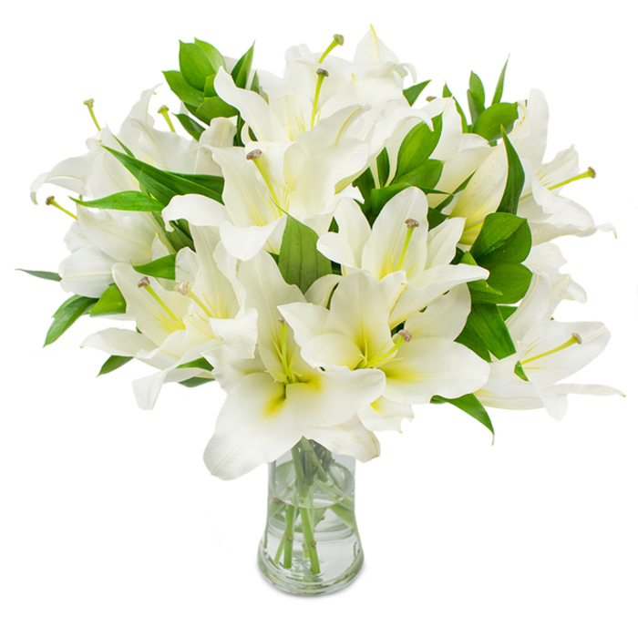 An elegant, abundant display of white lilies takes centre stage, densely arranged in a classic clear glass vase and photographed against a clean white backdrop so every botanical detail is visible. Each flower offers multiple broad, satiny petals that unfurl into trumpet-like shapes, the outer planes a crisp, luminous white while a soft wash of cream and pale yellow-green warms the throat of several blooms. From open centres rise long, delicate stamens with pale greenish filaments and warm brown anthers, their linear form punctuating the rounded petals with gentle contrast and an almost architectural rhythm. Deep green, spear-shaped leaves are woven throughout the bouquet, their glossy texture and rich colour giving weight and visual grounding to the composition. The transparent vase, with its gently flared neck, shows neatly trimmed stems descending into clear water that captures reflections and suggests careful conditioning and freshness. There is an understated scent suggested-a clean, sweet lily perfume that would fill a room without overwhelming it-adding an olfactory layer to the arrangement's visual grace. As a local florist I think of this bouquet arriving on the threshold of a Stanmore home after a quiet walk from Stanmore Broadway or being placed near a service at a community venue in Harrow; it reads as suitable for acts of remembrance, serene home styling, or formal gifting. Crafted with the attentive touch you'd expect from Flowers Stanmore, the bouquet communicates purity, peace, and refined simplicity while honouring the natural beauty of each bloom.
