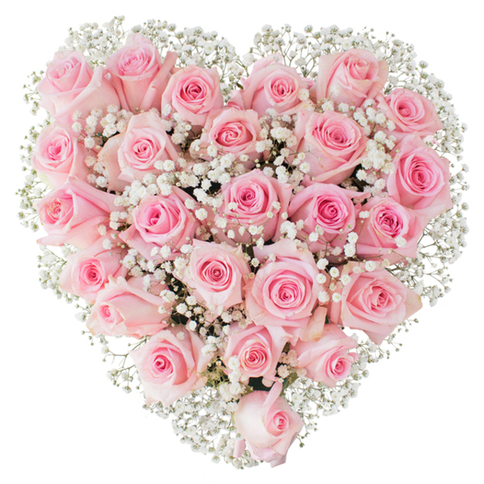 A lavish heart-shaped bouquet of soft pink roses sits against a seamless white background, the dense packing of blooms creating a luxurious, almost tactile surface. Each rose is captured in a slightly different moment of opening - some tightly furled, others revealing layered spirals of petal - and their pink tones move gently from whisper-light blush to a more saturated rosy hue at the centres. Interlaced among the roses are innumerable tiny sprays of white baby's breath (Gypsophila) that float like tiny stars, their delicate groupings giving the heart a lacy, cloud-like quality and lifting the visual weight of the pink mass with bright, airy contrast. The lighting is clear and flattering, producing soft highlights on petals and subtle shadows between blooms, which emphasizes the arrangement's freshness and the meticulous handiwork that shaped it. You can almost imagine the cool, fragrant scent of roses and the faint, clean pepper of the gypsophila as if standing beside the bouquet. This arrangement reads as a timeless symbol of devotion - suited to anniversaries, wedding celebrations, or a heartfelt romantic gift - and would be perfectly at home on a mantle at a Stanmore family home or carried into a small chapel near Stanmore Common. The overall mood is tender and reverent, a floral statement of genuine affection made with precise technique and gentle artistry.