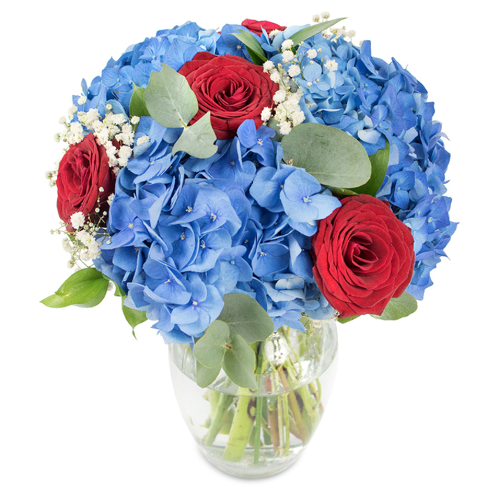 An elegant, full-bodied bouquet of vivid blue hydrangeas and three rich red roses rests in a clear, gently tapered glass vase, captured against a stark white background that emphasizes colour and form. The hydrangeas create a substantial, rounded volume - each cluster made of countless small petals whose cool, sky-blue hues carry a luminous, dewy quality. Threaded through this sea of blue are three red roses, their velvety petals wound tightly into classic buds that read as both intimate and declarative; they punctuate the arrangement with a passionate accent without overwhelming the softer blossoms. Scattered among the larger flowers are delicate sprays of white baby's breath, whose tiny ivory florets lend an ethereal lightness and create small pools of brightness that draw the eye across the composition. Interspersed foliage of rounded eucalyptus leaves, in a muted sage-green with a faint silver bloom, adds botanical texture, subtle fragrance, and structural rhythm. The transparent vase reveals neatly trimmed stems standing in clear water, a visible promise of freshness and clean conditioning. Bright, even lighting bathes the arrangement, sharpening edges and letting the contrasting colours sing - a combination that feels celebratory, composed, and quietly modern. As a florist serving Stanmore, I imagine this piece gracing a mantel on Stanmore High Street, brightening a dining table for an anniversary dinner, or offering a patriotic nod at a weekend gathering. The bouquet reads as thoughtfully balanced: joyful in colour, tactile in texture, and honest in craftsmanship - a confident floral statement that is both soothing and spirited.