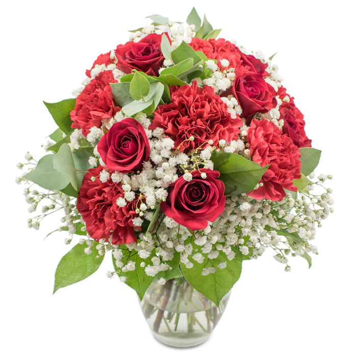 A lush, classically romantic bouquet of red and white flowers stands in a clear glass vase, its form crisp and defined against a bright white studio background. Deep red roses immediately draw the eye, their petals rich and velvety, coiling inward in layers that suggest depth, passion, and the unfolding of a love story. Interspersed among them are numerous crimson red carnations, each head composed of finely serrated, ruffled petals that form soft, rounded clusters, adding a cushion of volume and a tactile softness to the design. Threaded gently between these strong red tones, dainty white baby's breath floats like a light cloud, thousands of pinpoint blossoms offering a cool counterpoint to the warmth of the reds and creating a feeling of purity and gentle tenderness. Fresh green foliage frames and supports the blooms, from the darker, slightly glossy rose leaves to rounded eucalyptus leaves with their subtle, silvery cast, introducing a sense of calm and natural movement. The arrangement is carefully crafted into a full, dome-shaped silhouette, each flower positioned to create balance and harmony, like a thoughtfully composed centrepiece ready to sit on a dining table in a Stanmore home near Belmont Circle or along The Broadway. The clear glass vase, with a modestly flared rim and solid base, holds the stems in fresh water, and its transparency reveals the tidy, professional conditioning that goes into a well-made bouquet. Soft, even lighting accentuates the vibrancy of the reds and the crisp whiteness of the baby's breath, with almost no shadows to distract from the clean lines. It feels perfect for an anniversary celebration, a romantic surprise, or a heartfelt congratulations gift delivered across Stanmore, where the tradition of giving red roses is cherished and still feels special.