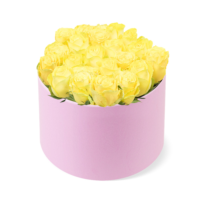 The photograph presents a contemporary hatbox of yellow roses, meticulously arranged to evoke joy and elegance, as if prepared for delivery to a stylish home near Stanmore Hill. At the centre, a cylindrical flower box in pastel pink stands upright, its surface softly matte and velvety, suggesting a tactile richness even through the image. The blush tone of the box is gentle and warm, setting off the fuller, brighter yellow of the roses above. The roses themselves are numerous-around two dozen individual blooms-each one placed close to its neighbour so their petals nearly interlock. Together, they create a gently domed bouquet that slightly rises above the rim, giving a sense of fullness and abundance. The petals are finely detailed, with tightly wound centres opening out to more relaxed, curved edges, each layer catching the light to reveal subtle variations of yellow: buttery, golden, and a hint of lemon at the tips. Here and there, small glimpses of green foliage can be seen between the blossoms, offering a natural counterpoint to the otherwise uniform colour field. The background is pure white and evenly illuminated, with no visible shadows, ensuring that the eye remains fixed on the symmetry and softness of the arrangement. The effect is both modern and timeless-a chic design well suited to celebratory moments such as anniversaries, milestone birthdays, or housewarmings across Stanmore, from leafy residential streets to apartments near the station. The composition suggests the careful hand of a seasoned florist who understands how a limited palette of colours, thoughtfully combined, can convey warmth, sincerity, and quiet luxury.