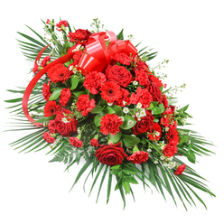 An opulent red floral spray, shaped in a gentle taper and designed for a funeral or remembrance setting, stretches diagonally across a white background, its rich colours and intricate details standing out in sharp relief. At the core of the arrangement, a plentiful gathering of deep red roses creates a sense of intimacy and reverence; some roses are tight and youthful, while others are fully blossomed, revealing their classic, velvety petals in layered spirals. Around these central blooms, red carnations are tucked in generously, their frilled edges and compact heads adding body and texture, so the spray appears plush and complete from every angle. Among them, several red gerbera daisies offer a contrasting form, their round, daisy-like faces and darker centres acting like visual anchors that draw the eye forward. Lightly scattered throughout the mass of red, small white filler flowers glimmer like starlight, offering a gentle contrast that lifts the composition and adds a touch of tenderness. A prominent red satin ribbon, shiny and carefully tied, is placed near the top centre, its broad bow and flowing streamers weaving through the blossoms, echoing the deep red theme with a touch of ceremonial formality. Surrounding the flowers, long arching palm leaves extend outward to create the spray's elongated outline, reminiscent of the gentle slopes and open skies around Stanmore Common. Deeper green foliage, possibly salal or ruscus, fills in the base, ensuring there are no gaps and giving a strong, stable foundation. The overall impression is one of poised serenity and heartfelt emotion, a fitting choice for resting atop a casket or as a focal tribute at a Stanmore funeral or memorial, where families wish to express profound love, respect, and remembrance.