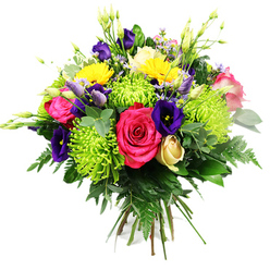 Set against a crisp, white backdrop, this rounded hand-tied bouquet looks like a vibrant garden distilled into one generous armful. In the centre, hot pink roses open wide, each layer of velvety petals spiralling outward in a rich fuchsia hue that immediately draws the eye. Around them, lime green spider chrysanthemums provide a lively contrast, their long, slender petals radiating in every direction, creating soft, spiky spheres of chartreuse. Peer a little closer and deep indigo to royal purple lisianthus can be seen threaded throughout, some blossoms fully open in delicate, bell-like forms, others still in smooth buds, suggesting unfolding beauty over several days on a table in a Stanmore home. Bright yellow gerbera-type flowers appear in cheerful bursts, reminiscent of sunshine over local gardens and the open expanses of nearby parks. A single cream or pale yellow rosebud is tucked modestly among the brighter petals, its tightly wrapped form hinting at elegance and restraint. Fine filler blooms in shades of lavender and blush weave between the larger flowers, accompanied by slender green buds that stretch upwards to add height and a sense of natural growth. All of this is cradled in a cradle of lush foliage: glossy dark green leaves, feathery fern fronds, and eucalyptus-like sprigs that add cool undertones and fullness. The neatly tied stems at the base show the care and balance of an experienced florist, creating a bouquet that feels generous yet refined. The overall impression is one of joy, affection, and celebration, ideal for marking special moments across Stanmore - from milestone birthdays to quiet anniversaries shared at home.