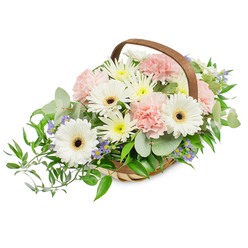 A vibrant, carefully curated basket of blooms photographed against a clean white field so each colour and texture is easily perceived. A rustic, pale wooden-woven basket with a gracefully curved brown handle holds an abundant mix that opens outward like a soft embrace; the left side is given a graceful cascade by glossy ruscus and longer verdant fronds. Dominant among the flowers are several large white Gerbera daisies, their smooth, broad petals forming crisp disks around striking dark brown or nearly black centers that read as joyful and pure. Nestled between them are clusters of blush-pink carnations, their tightly ruffled petals creating a plush, romantic volume. Numerous small white and pale yellow daisy-like chrysanthemums or asters fill the arrangement, lending a bright, cheerful fullness, while tiny star-shaped blue-lavender accent flowers add a whisper of cool contrast and delicate perfume. Rounded, silvery eucalyptus leaves scatter through the composition, introducing a soft, aromatic note and a contemporary foliage silhouette. The overall light is bright and neutral, highlighting the fresh sheen of petals, the textured weave of the basket, and the subtle shadows that give depth. Crafted with an eye for balance and tenderness, this arrangement suits a variety of occasions - from a gentle get-well gesture to a calm sympathy tribute - and is a design we prepare for same-day local delivery across Stanmore High Street, around Stanmore Station and to homes near Canons Park. Prepared with care by Flowers Stanmore, it reflects neighbourhood taste and florist expertise.