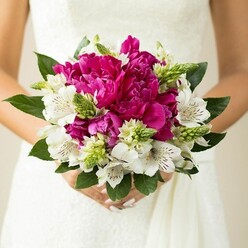 The image shows a tightly framed, intimate view of a bridal bouquet held close against a white wedding dress, the fabric's subtle texture providing a soft, neutral backdrop for the saturated colours of the flowers. The bouquet itself is lush and round, dominated by large fuchsia peonies whose full, layered petals appear almost cushioned, inviting you to imagine their faint, sweet scent. Nestled between these vivid blooms are white alstroemeria, or Peruvian lilies, each blossom marked with fine maroon streaks and speckles that add delicate intricacy to the design. Slender, pointed green buds and spiky filler flowers spring up throughout the arrangement, introducing a lively contrast in both form and shade, like fresh shoots in a Stanmore garden after rain. The outer edge of the bouquet is defined by deep, glossy green leaves, which cradle the flowers and give the composition a polished, hand-tied feel. At the base, the bride's hands are visible, fingers lightly wrapped around the stems, her nails coated in a soft pink polish that echoes the romantic tones of the bouquet. The lighting is gentle and natural, enhancing the vibrancy of the magenta and the crisp purity of the white blooms, while the background remains blurred, drawing all attention to the flowers and the midsection of the dress. It evokes the feeling of a quiet moment just outside a Stanmore church or registry office, perhaps near the shops and cafes close to Stanmore station, seconds before the ceremony. This bouquet would be ideal inspiration for brides seeking wedding flowers that pair traditional peonies with a slightly modern edge, suitable for same-day wedding delivery across Stanmore and the surrounding North West London neighbourhoods.