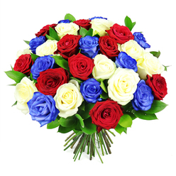In this image, a tightly gathered bouquet of roses creates a bold, circular display of colour, combining deep red, creamy white, and intense royal blue in an even, carefully balanced pattern. The roses are massed together so that the viewer sees almost nothing but flowers, with just occasional hints of dark green leaves tucked between the heads. Each rose is captured at a beautiful, half-open stage, the petals curling inward in neat spirals and unfurling toward the edges like soft satin. The reds are rich and romantic, the whites appear clean and luminous, and the blues add a distinctive, almost regal presence, making the bouquet feel particularly suited to patriotic or commemorative occasions in and around Stanmore. Light falls smoothly across the flowers, creating gentle highlights on the upper petals while deeper shadows nestle in the centres, giving the arrangement a three-dimensional, almost sculpted effect. At the bottom of the bouquet, the stems are tightly bound and trimmed to a uniform length, the cut ends in green and brown tones clearly visible against the same white background that sets off the vivid roses above. You can imagine this design resting in a glass vase on a windowsill looking out toward Stanmore Country Park, or being carried as a meaningful floral tribute to a local event. With no accessories, ribbons, or vase in sight, all the visual emphasis rests on the richness of the roses themselves, conveying a sense of honour, remembrance, and quiet strength.