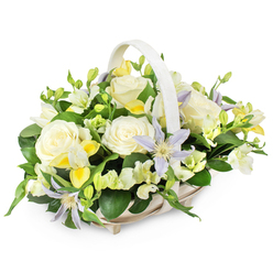 In this image, a beautifully balanced sympathy flower basket sits against a pure white background, every stem and petal arranged with deliberate care. The container is a light-coloured wicker basket with a matching handle, its woven texture neatly uniform, hinting at handcrafted quality. Rising in a soft, rounded dome from the basket's rim is a mix of cool, calming blooms. Large creamy white roses are the main focal point, their generous, fully open heads exuding a sense of serenity and timeless love, much like the peaceful atmosphere of the green spaces around Stanmore Country Park. Interlaced among the roses are pale lavender and periwinkle clematis blossoms, each star-shaped flower centred with vibrant yellow-green stamens that add just enough contrast to catch the eye without disturbing the tranquil mood. Here and there, clusters of small white and pale lemon freesia-like flowers add delicate texture and a subtle suggestion of fragrance, some petals unfurling, others still tightly wrapped in bud. The arrangement is wrapped in an abundance of fresh greenery-broad dark green leaves, slightly glossy in the light, and slimmer, more delicate sprigs that soften the edges and give the basket a natural, garden-inspired profile. The colours remain gentle and harmonious throughout, ideal for a funeral service, a memorial gathering near Stanmore Broadway, or a condolence gift sent to loved ones in the surrounding residential streets. The composition reflects the thoughtful touch of a local florist who understands the balance between elegance and comfort, creating a floral tribute that feels both respectful and quietly uplifting during times of mourning.