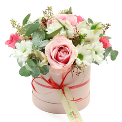 A chic, round hatbox bouquet is showcased against a bright, uncluttered white background, its soft pastel tones and polished finish echoing the calm elegance of Stanmore's tree-lined streets. The cylindrical box is a delicate matte pink, with a smooth texture that subtly catches the light. A slim coral-red satin ribbon wraps around the base, brought together at the front in a compact, well-formed bow. From the bow hangs a cream gift tag, its green lettering and small web address hinting at a bespoke delivery service rather than a spur-of-the-moment purchase. Rising generously above the rim, the flowers form a lush, domed arrangement that feels both modern and romantic. A fully open, bi-colour pale pink rose commands attention at the front, its outer petals softly tinted and its centre spiral enriched with deeper pink tones. Encircling this focal bloom, white daisy chrysanthemums with vivid green centres add brightness and a friendly, familiar charm. Threaded through are elegant white alstroemeria, their petals finely speckled, giving a sense of delicacy and movement. Among these are clusters of smaller deep pink or fuchsia blooms, likely spray roses or lisianthus, which inject a dynamic, jewel-like colour contrast. The greens are thoughtfully composed: rounded, silver-green eucalyptus leaves lend a contemporary feel and airy structure, while darker green foliage and tiny green buds provide density and texture. The clean studio lighting ensures true-to-life colour and clear detail, with minimal shadow and maximum freshness. The result is a balanced, sophisticated arrangement that would suit a birthday breakfast table on Marsh Lane, a quiet anniversary dinner near Stanmore Hill, or a thoughtful "get well soon" gesture for a neighbour, conveying care without feeling overly formal.