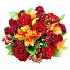 Captured from a top-down vantage against a clean white field, this compact, round bouquet balances rich romance with lively warmth. Dominant deep red roses unfold in generous, velvety spirals, their tactile petals and layered centers offering the classic rose perfume and a sense of intimate luxury. Interspersed are vivid orange Asiatic lilies - some fully trumpeting their stamens and freckled throats, others in tender bud - which introduce an energetic citrus-spice note and sculptural, upward curves that break the roundness in the most elegant way. Small clusters of wine-toned spray roses bring concentrated colour and a plush, textured surface, deepening the arrangement's jewel-like quality. Bright hypericum berries, glossy and bead-like, are dotted through the composition; they reflect light to create tiny points of cheer among the blooms. Lush green foliage, likely ruscus or salal, threads through and under the flowers, their glossy broad leaves providing structure, cooling contrast, and a sense of fullness. The soft, even lighting highlights petal translucence and the contrast between velvet and gloss, suggesting freshness and careful handling. As a local bouquet suited to Stanmore mornings or evening celebrations near Stanmore Broadway and Stanmore Station, it reads as both a romantic choice for anniversaries and a warm seasonal gift. Flowers Stanmore's eye for texture and balance is evident here: crafted to feel immediate and fragrant in the mind, this arrangement invites touch, scent, and the gentle joy of gifting.