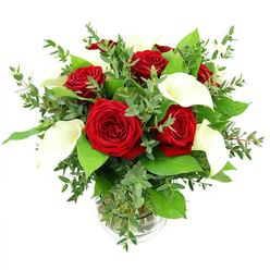 An elegant floral arrangement featuring deep red roses and serene white calla lilies stands tall in a clear glass vase, set against a minimalist white background that invites the eye to linger on colour and form. At the heart of the bouquet, several fully opened roses reveal plush, velvety petals spiralling inward in rich crimson, each bloom full and expressive, conveying an unmistakable sense of romance. Nestled between them, white calla lilies rise on slender stems, their smooth, trumpet-shaped petals unfolding in pure ivory, encircling a soft yellow spadix that adds a quiet glow. The contrast between the bold red roses and the sculptural white lilies creates a harmonious balance of passion and calm. Around these main flowers, generous greenery brings the design to life: eucalyptus sprigs with small, rounded, silvery-green leaves weave in and out, lending a soft, airy texture, while glossy, darker green leaves provide a framed backdrop and give the bouquet a pleasantly rounded silhouette. Through the transparent walls of the cylindrical vase, straight green stems and clear water are visible, along with a delicate ribbed detail at the base of the glass, subtly elevating the design. The lighting is bright and evenly distributed, illuminating every petal edge and leaf vein while keeping the overall feeling gentle and relaxed. The mood is one of quiet celebration, the kind of arrangement that might grace a table in a Stanmore home near Canons Park after a special meal, or be delivered as a same-day surprise to a loved one near The Broadway, marking an engagement, a milestone anniversary, or simply a heartfelt message when words alone are not enough.