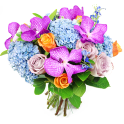 Set against a crisp, uncluttered white backdrop, this lavish hand-tied bouquet appears almost sculptural, its colours and shapes carefully composed like a piece of floral art created for a Stanmore celebration. Dominating the arrangement are several striking Vanda orchids, their petals drenched in intense shades of magenta and fuchsia, each delicately flecked with white speckles that form a distinctive, patterned surface. These orchids are strategically nestled across the bouquet, adding an exotic, high-end feel that would sit beautifully in homes near Canons Park or along Stanmore Broadway. Supporting and softening the orchids are ample clusters of sky-blue hydrangeas, each head made up of countless tiny blooms that combine into plush, rounded forms. Their cool blue notes ground the palette, introducing a serene quality that contrasts gently with the more vivid purples and oranges. Weaving through the hydrangeas are roses with two separate personalities: vibrant orange roses with tight, spiralling centres that radiate warmth and positivity, and more muted dusty-lavender or mauve roses, whose velvety petals bring depth, tenderness, and timeless charm. Delicate spires of smaller, deep-blue flowers-reminiscent of delphiniums-peek out between the larger blossoms, adding fine detail, movement, and an extra layer of cool blue intensity. Surrounding the blooms is an arrangement of lush green foliage, featuring broad, glossy leaves that frame the composition while adding a sense of freshness, as if the bouquet had just been gathered from a beautifully kept Stanmore garden. The stems are neatly aligned and bound at the base, showcasing the bouquet's compact, domed profile and clear hand-crafted quality. This arrangement feels perfect for marking life's meaningful moments in Stanmore, from housewarmings to heartfelt thank-you gestures, bringing a blend of luxury, colour, and emotional warmth.