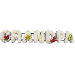 Against a crisp white background, the word GRANDPA appears in strong, floral capital letters, a horizontal sympathy tribute created with the kind of care and attention that comes from an experienced Stanmore florist. Each letter is completely filled with white cushion chrysanthemums, placed so tightly together that no stem or base is visible, only a thick blanket of soft petals. The blooms give the arrangement a plush, rounded texture, like a gentle pillow of flowers laid out in honour of a much-loved grandfather. Around each letter, a narrow trim of muted lavender ribbon runs smoothly, adding a refined edge and helping the word stand out clearly when viewed across a chapel or crematorium hall near Stanmore Hill or Canons Park. Touches of colour have been woven in where they will have the most impact. The open curve of the initial G holds three or four rich red roses, nestled in glossy green foliage, creating a focal point that draws the eye and symbolises enduring love and respect. The third letter, the first A, is marked by a small cluster of yellow-green orchids, their slender, intricate petals adding an exotic note and suggesting treasured, individual memories. The D echoes the G with a similar group of red roses, reinforcing the sense of balance and continuity, while the final A is highlighted once more with those graceful orchids. Subtle metal bars link the letters from behind, ensuring the tribute forms one solid, stable word. The overall feel of the piece is serene and deeply respectful, a floral tribute well suited to funerals, wakes, or graveside services in Stanmore, offering comfort and a clear, heartfelt message of farewell to a cherished grandpa.