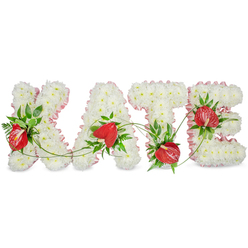 An elegant floral name tribute reads clearly as KATE, each capital letter shaped from a plush, uniform carpet of small white chrysanthemums whose cushiony heads catch the light and suggest purity and calm. A soft, pale pink ribbon with a fine frilled edge runs along the outer contours of every letter, its gentle hue warming the pristine surface and lending refined definition. Lively clusters of glossy, heart-shaped red anthuriums are nestled into the white base at considered intervals, their waxy spathes and pronounced spadices creating warm, contemporary focal points against the pale palette. Interspersed among the blooms are lush dark-green leaves and feathery fern fronds that add texture, weight and a faint, green fragrance; delicate tendrils and slender vines arc between the letters, visually tying the four forms together and suggesting unity and continuity. The arrangement sits against a bright white background with a soft drop shadow that gives each letter a sculptural, three-dimensional quality - a thoughtful tribute suitable for a funeral or celebration of life in Stanmore, placed with care for viewing in a chapel or at a family home near Canons Park. Prepared with the steady hand of a local florist, this piece balances serenity and warmth: the chrysanthemums' whisper of sweetness, the anthuriums' bold tenderness, and the ribbon's subtle blush combine to express enduring respect and loving remembrance throughout the service.