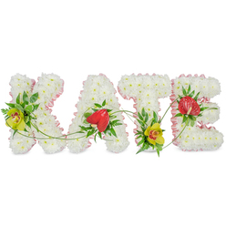 The image shows a beautifully composed sympathy flower arrangement that spells out KATE in bold, floral block letters, set against a clean white background to emphasise its detail and craftsmanship. Each capital letter is created from a dense carpet of white chrysanthemums, their soft, petal-rich heads pressed tightly together to give the impression of a plush, seamless surface. Around the outside edge of each letter, a trim of soft pink satin ribbon is neatly gathered, adding a delicate ruffle that softens the silhouette and brings a gentle, affectionate note to the design. Tucked into the cushion of white flowers are striking accent blooms and greenery that lend character and depth. On the left-hand side of the K and at the base of the T, elegant yellow-green cymbidium orchids with deep reddish-brown markings nestle among glossy dark leaves and fine feathery fern, offering a fresh, refined burst of colour. The A and E each carry a single red anthurium flower, its glossy, heart-shaped spathe and central spadix shining slightly under the light, framed by rich green foliage. Slender green tendrils and grass blades trace graceful arcs between the letters, visually binding them together into one flowing tribute. The overall effect is calm, respectful, and quietly elegant, the sort of bespoke name arrangement families in Stanmore might choose for a funeral cortege, church service, or crematorium farewell. Crafted with the care you would expect from Flowers Stanmore, it transforms the name KATE into a tender, floral message of love, remembrance, and lasting connection.