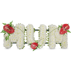 This floral piece captures the quiet hush of remembrance with a surface of crisp white chrysanthemums pressed together until they spell a tender message-each bloom selected for its round fullness and cool, ivory tone so the letters read as a seamless, cloud-like blanket. The texture is soft under the eye and comforting in its uniformity; you can almost feel the velvety petals as light pools across the curves. To punctuate that purity, three vivid red anthuriums rise like small, tropical beacons: glossy, sculptural spathes and pale yellow spadices that speak of passionate, lasting love even amid sorrow. The anthuriums are placed with intention-one on the left curve of the first letter, another settled into the lower sweep of the middle letter, the last balancing the right side-each anchored by sprays of dark green foliage, from delicate fern fronds to broader leaves that add shadow and structure. Thin, elegant blades of grass arc between the red blooms, drawing them together and lending movement to an otherwise serene tableau. A discreet dark green framework supports the letters beneath, visible only where the blooms part, and the whole composition sits in soft, diffused daylight that emphasizes purity and calm. As a sympathy tribute suitable for services in the Stanmore area, this arrangement offers a composed, respectful presence-gentle, neat, and deeply personal-intended to comfort mourners and honour a mother's memory with quiet dignity.