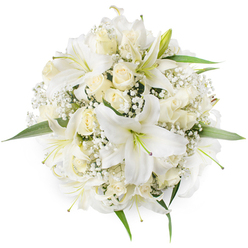 A top-down, artistically composed round bouquet arranged in pristine whites and creams, photographed on a pure white background that highlights every curve of petal and leaf. Several large white oriental lilies anchor the design, their trumpet-like petals sweeping back to reveal pale green stamens and subtle textural veins; these lilies form luminous focal points around which the rest of the flowers gather. Between them, creamy ivory roses are placed in clusters, many in tight bud or just beginning to bloom, their soft, layered petals creating gentle shadows and a tactile, velvety depth. Clouds of Baby's Breath (Gypsophila) are woven through the arrangement, adding a delicate, frothy texture that makes the bouquet feel both full and weightless. Small, vibrant green leaves emerge from beneath the blossoms, especially toward the outer rim, providing clean contrast and framing the circular shape. The bouquet carries a whisper of fragrance - the sweet, spicy lift of lilies and the mellow, warm scent of roses - conjuring images of a calm Stanmore morning near the tube station or a quiet walk through Canons Park. Crafted with attention to balance and symmetry, this design suits weddings, christenings, memorials, or a solemn gift of affection. Prepared by Flowers Stanmore with local knowledge of tastes on Stanmore High Street, it reflects quality stems sourced for freshness and is offered for local delivery across Stanmore and nearby neighbourhoods when a refined, trustworthy expression of feeling is required.