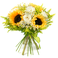 Set against a clean white background that enhances every hue, this hand-tied bouquet feels like a beam of Stanmore sunshine captured in flowers. Three bold sunflowers take the lead, their wide rings of bright yellow petals framing dark, densely textured centers that draw the gaze inward. Around them, white roses gather in relaxed clusters: some are tight and bud-like, while others are unfolding into generous spirals, their satin-smooth petals carrying hints of cream and soft ivory for a touch of classic refinement. Dotted throughout are delicate white daisy-shaped blossoms, reminiscent of chamomile or feverfew, each with a small yellow center that echoes the sunflower tones on a miniature scale and brings a fluttering, countryside charm. A generous fringe of lime-green, feathery foliage, similar to solidago, encircles and threads through the bouquet, softening edges and giving the impression of a freshly picked posy from a garden near Stanmore Common or along quiet residential streets. The stems are left elegantly long, aligned neatly and drawn together at the base, then wrapped with a lime-green ribbon whose texture suggests soft fabric, tied firmly yet simply so the arrangement retains a relaxed, organic feel. The lighting is bright and even, giving true, clear colour to each petal and leaf, while allowing subtle shadows to hint at depth and layering. Overall, the bouquet conveys brightness, gratitude, and gentle celebration-a versatile piece suited to congratulations, get-well wishes, new homes near Stanmore Station, or same-day delivery surprises to friends and family across HA7.