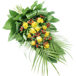 A graceful teardrop-style funeral spray is pictured on a clean white background, its diagonal shape drawing the eye from the structured top left down to a softly trailing lower right. The spray is built around a lush gathering of yellow roses, approximately fifteen to twenty blooms arranged so that tight buds nestle beside partially opened flowers and fully unfurled roses. Their yellow is vivid yet tender, evoking light and comfort rather than intensity. Nestled between the roses are clusters of small, glossy red berries, probably Hypericum, each one like a polished bead that catches the light and deepens the overall colour palette. The flowers are held within a rich framework of foliage. At the upper left, broad, dark green leaves form a voluminous base, some leaves neatly folded and layered to show the florist's skilled hand, much as a careful gardener might tend the borders near Stanmore Country Park. From this strong, leafy support, the spray tapers and flows outwards, transitioning into several long, palm-like fronds that extend towards the lower right. Their narrow, pointed leaflets create a gentle sense of movement, as though the arrangement is quietly reaching forward. The stems are securely bound at the top, but hidden beneath the folds of greenery, giving the impression of seamless design. The lighting is bright and neutral, free from strong shadows, letting the velvety texture of the rose petals and the subtle sheen of the foliage be clearly seen. This arrangement feels composed and heartfelt, a suitable choice for funeral flowers in Stanmore when families wish to pay their respects with something both elegant and comforting.