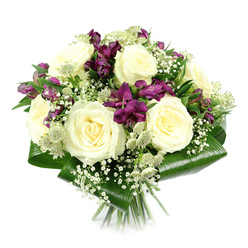 Captured against a brilliant white background, this rounded bouquet showcases the skill of a local Stanmore florist, with every bloom positioned to create harmony and depth. At the centre, multiple creamy white roses open fully, their spiralled petals forming plush, concentric layers that convey quiet elegance and a subtle, familiar fragrance. Nestled among them, deep purple and rich magenta alstroemeria flowers introduce a sophisticated contrast; their trumpet-shaped petals, some just beginning to unfurl, give the arrangement a sense of movement and unfolding life, like the gentle rhythm of a walk near Stanmore Country Park. Fine clusters of white gypsophila float throughout the bouquet, their tiny blossoms resembling a lacy mist that softens the borders between the larger flowers and adds ethereal lightness. Here and there, stems of pale green-white astrantia rise up, each starry head formed of numerous bracts circling a textured core, adding botanical detail and a garden-fresh nuance as though freshly cut from a well-loved suburban plot. Encasing the design, broad, dark green aspidistra leaves are wrapped and folded around the base, creating a sculpted collar that brings a modern, polished finish and accentuates the bouquet's compact shape. The hand-tied stems extend neatly below, aligned and trimmed with care. Illuminated by even, neutral lighting, every petal edge and glossy leaf surface is crisply defined, emphasizing the bouquet's freshness and quality. This arrangement feels perfectly suited for sympathy gestures, elegant congratulations, or as a calming centrepiece in a Stanmore living room, radiating grace and thoughtful artistry in every detail.