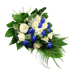 An elongated sympathy spray of blue and white roses rests on a pure white background, its graceful diagonal line suggesting a gentle, respectful gesture. The design is composed of approximately two dozen roses, each bloom fully open and carefully placed. Deep sapphire blue roses, with velvety petals spiralling inward, alternate with creamy white and ivory roses so that neither colour overpowers the other. Together they create a tranquil, balanced contrast that feels particularly appropriate for a funeral or memorial service. Scattered among the roses are small, airy clusters of white baby's breath, their tiny blossoms catching the light and adding a gossamer texture between the larger blooms. The arrangement is cradled by abundant greenery: broad, dark green leaves provide a solid, polished base, while lighter, feathery fern fronds at the top left give the spray a sense of lift and freshness. From the lower right corner, long palm fronds sweep outward and down, forming the familiar teardrop silhouette that is often placed atop a casket or at the front of a chapel. Subtle sprigs of bluish-green eucalyptus are tucked between the roses and foliage, introducing a silvery note and faintly rounded leaf shape that contrasts with the sharper lines of the palm. The florist has added refined details in the form of folded green-and-cream foliage bands that curve through the greenery, echoing the flowing lines of the spray and highlighting the craftsmanship behind the piece. The overall effect is serene, reverent, and composed, an arrangement that could easily be imagined being delivered by Flowers Stanmore for a farewell service near Stanmore Hill or along the quiet residential streets where families gather to say their last goodbyes.