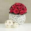 On a bright white tabletop, a rounded bouquet of crimson roses and red berries nestles in a white wicker sphere, giving the impression of a carefully styled wedding table in Stanmore or a romantic dinner setting just off the Broadway. The roses are densely arranged into a smooth dome, with each velvety bloom placed closely against its neighbour so that their layered petals form a continuous expanse of deep, luxurious red. Some flowers remain slightly closed, their centres tight and promising, while others are fully open, revealing elegant spirals that catch the light. Interspersed among them, clusters of red Hypericum berries provide a contrasting texture, their small, polished forms adding sparkling pinpoints of colour and a subtly different red tone reminiscent of ripe fruit. A discreet collar of dark green leaves peeks out at the base, framing the bouquet while allowing the rich reds to dominate. The arrangement is supported by a distinctive spherical vase crafted from white-painted branches or wicker, woven into a light, open lattice that cradles the flowers with an almost sculptural grace. Light passes through the gaps, creating fine, linear shadows on the table and accentuating the vase's modern, airy character. To the left, two decorative orbs made from natural, light-coloured wood strips rest casually, mirroring both the round shape and the woven texture of the main container, yet remaining understated. The background is softly blurred, a neutral beige or taupe wall with gentle texture that keeps the eye firmly on the vivid bouquet. With its intimate scale and rich, romantic palette, this design feels perfectly suited as a wedding table arrangement, anniversary centrepiece, or special occasion display for homes and venues across Stanmore.