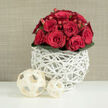 The photograph presents a sophisticated bouquet that captures the kind of quiet luxury often found in Stanmore's elegant homes. At the centre is a compact, rounded cluster of red roses, arranged so tightly that each bloom seems to support the next. The roses vary gently in openness: some are still firm, bud-like shapes with only the outer petals visible, while others have begun to loosen, revealing the layered whorls inside. This variety in stages of bloom adds depth and movement to the otherwise symmetrical silhouette. The colour is a rich, velvety crimson, consistent across the arrangement and enhanced by the soft, even lighting that gives the petals a subtle sheen without any harsh glare. Nestled amid the roses, clusters of red hypericum berries peek through, their smooth, bead-like surfaces catching the light and lending an extra dimension of texture and charm. Encircling the base is a precise ring of dark green leaves that fan outward slightly, their surfaces polished and gently curved, providing a strong yet understated contrast to the flowers. The bouquet is held in an eye-catching white vase constructed from intertwined, twig-like strips arranged into an open, basket-like lattice. This vase has an airy, handcrafted look that feels both rustic and contemporary, fitting seamlessly into a modern lounge or traditional dining room near Canons Park. On the smooth white surface in front of the vase lie two decorative balls made from pale, ribbon-like wood strips, one larger and more prominent, the other slightly smaller and set behind. Their open, spherical structure echoes the pattern of the vase and introduces a pleasing sense of repetition. The background is a warm beige, faintly textured like fine fabric, which frames the arrangement without competing for attention. The mood is romantic yet composed, making this design perfect for marking engagements, milestone anniversaries, or intimate wedding celebrations across Stanmore.