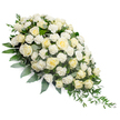 A dignified white and ivory funeral spray lies on a pure white backdrop, its composition forming a gentle teardrop that is full and rounded at the top left and gradually thins into a soft taper toward the bottom right. At first glance, the eye is drawn to the abundance of roses in shades of white and pale cream, their petals unfolding in delicate spirals, some tightly held and others fully open to reveal the bloom's heart. Between and around these are many small, ruffled white carnations, adding a cushioned texture that feels both rich and comforting, filling the spaces without overwhelming the overall design. Supporting this blanket of blossoms is a layered base of greenery: cool-toned eucalyptus leaves introduce muted silvery greens, while darker foliage and slim, arching ruscus stems stretch out and cascade down, reinforcing the elongated, flowing shape of the spray. The white background and even lighting ensure there are no distractions from the quiet beauty of the flowers themselves, allowing the subtle nuances of each petal and leaf to be easily imagined. This arrangement speaks of calm, respect, and heartfelt condolences, suitable for resting beside a casket, near a photograph, or at the front of a chapel during services in Stanmore, from gatherings near Canons Corner to ceremonies in local churches and synagogues. It feels carefully composed to express sympathy and remembrance, a floral gesture that offers solace and a sense of peaceful farewell to grieving families and friends.