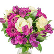 A lush, rounded bouquet photographed against a pristine white background, where deep magenta Gerbera daisies take centre stage with their broad, flat petals and slightly darker centres, announcing the composition with bold cheer. Soft, creamy-white Lisianthus - delicate bell-shaped blooms with ruffled edges - nestle between the gerberas, their petals catching the light and lending a gentle, almost vintage softness that tempers the vibrant pinks. Rich purple and fuchsia Alstroemeria (Peruvian lilies) weave through the arrangement, their trumpet-like petals spotted with darker markings and offering a layered texture that feels both intricate and spontaneous. A generous sweep of glossy dark-green foliage, including broad leaves and slimmer, sword-like stems, frames every blossom and gives the bouquet a full, rounded silhouette; the leaves create subtle shadow and highlight that enhance the depth of each flower. A faint suggestion of a clear glass vase is visible at the very base, anchoring the stems and adding a cool, reflective edge against the white backdrop. The overall effect is fresh and sophisticated yet warmly approachable - a bouquet that smells faintly sweet and green, as if picked on a cool spring morning. This arrangement reads as a bright, heartfelt gift for Mother's Day, a birthday table centrepiece, or a thoughtful way to lift someone's spirits after a long day. Local touches come to mind: the same colour palettes often chosen by neighbours in Stanmore Broadway and by customers collecting from weekend markets near Stanmore Common. The craftsmanship feels professional and attentive, designed to brighten interiors while remaining elegant and versatile for many occasions.