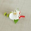 A refined wedding boutonniere is laid carefully on a softly textured light beige linen cloth, the neutral background allowing every petal and ribbon detail to stand out as if resting on a calm Stanmore morning. At the heart of the design sits a single white phalaenopsis orchid, its broad, velvety petals opening in a graceful arc, pure white yet gently shadowed where they overlap. The orchid's throat glows with a wash of soft yellow that deepens into tiny reddish-orange markings, like brushstrokes of warm colour hidden within the bloom. Around it, airy sprays of white baby's breath cluster like tiny clouds, their minuscule blossoms adding a misty, romantic texture that softens the overall form. To the left, two rounded lime-green chrysanthemum buds, tight and almost spiky, add a playful, modern contrast, their vivid green echoing fresh spring foliage in nearby Bentley Priory Nature Reserve. A deep green leaf cradles the orchid from beneath, giving structure and a lush base note of colour, while a smaller, darker leaf peeks out near the stem. The stems themselves are bound neatly in a vivid crimson satin ribbon, wrapped with the precision of an experienced florist and tied into a discreet bow that brings a bold thread of colour and a sense of celebration. The lighting is gentle and even, emphasising textures-the coarse weave of the linen, the smooth orchid petals, the fine, frothy baby's breath-creating a composed, elegant accessory perfect for a groom or groomsman at a Stanmore wedding, from an intimate ceremony off Church Road to a grand reception in a local country-house venue.