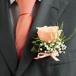 Understated elegance shines from this classic buttonhole designed for a celebratory day in Stanmore. The focal point-a single, blush-peach rose-glows with buttery light, its petals arranged in perfect, natural layers. Wispy baby's breath forms a gentle cloud around the rose, reminiscent of the tranquil mornings spent wandering Stanmore's green spaces. Slender, fresh fern and curled green leaves arc gracefully upward, lending a lively finish that hints at the area's thriving gardens. Set against a structured charcoal suit, the floral arrangement is bound with a peach satin ribbon that echoes both the tie and the abundant warmth of family celebrations. The subtle fragrance drifts lightly-sweet and reminiscent of a Stanmore spring day-while every thoughtful detail crafted by Flowers Stanmore transforms this boutonniere from a simple accessory into a timeless, heartfelt emblem for the occasion.