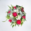 Viewed from above against a pristine white background, this lush, rounded bouquet glows with vivid pinks, crisp whites, and layered greens, like a joyful celebration unfolding on a florist's workbench in Stanmore. At the heart of the design, large hot pink carnations with deeply ruffled petals create a rich, velvety texture, their frilled edges catching the soft light. Nestled among them are deep pink and fuchsia roses, some fully open with spiralled, romantic centres, others still in tight buds that promise to unfurl over the coming days. Scattered between the bolder blooms, clusters of tiny white spray chrysanthemums form soft, daisy-like cushions, while airy sprigs of baby's breath weave through the arrangement like delicate clouds, giving the design a light, almost floating quality. Slender white buds, likely alstroemeria or a similar lily-like flower, slip upward from the bouquet, adding a touch of refined elegance and purity. Surrounding this play of colour and form, a generous base of foliage provides structure and depth: rounded, silvery-green eucalyptus leaves bring a cool, soothing tone and a smooth, slightly waxy texture, contrasted by bright green, lance-shaped leaves that arc gently outward. Darker, broader leaves-carefully folded and curved, in the style often seen in window displays along Church Road and around Stanmore Broadway-create a neat, collar-like frame that makes the blooms feel held and complete. The entire composition exudes joy, warmth, and affectionate energy, perfectly suited to congratulate a friend in Belmont Circle, lift the mood of a loved one near Canons Park, or serve as a fresh, modern centrepiece for a family gathering at home in Stanmore. Even without scent, the bouquet suggests a gentle, garden-fresh fragrance and the feeling of being thoughtfully cherished.