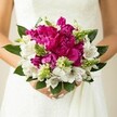 A close-up photograph captures a bride or wedding guest in Stanmore gently cradling a round, luxurious bouquet against the soft, textured white of a wedding gown, the intricate lace just visible at the edges. At the heart of the arrangement are generous magenta peonies, their ruffled petals densely layered and velvety, creating a rich, almost cloud-like centre that draws the eye. Threaded between these bold blooms are crisp white alstroemeria, each petal kissed with fine maroon speckles deep in the throat, adding a delicate pattern that rewards a lingering look. Bright, spiky green buds and filler flowers punctuate the bouquet, their fresh, upright shapes bringing a sense of movement and youthful energy. Surrounding everything, broad, glossy green leaves form a natural collar, framing the colours and giving the design a grounded, garden-fresh feel. The bride's hands, with neatly manicured, pale pink nails, curve protectively around the stems, suggesting a moment just before she walks through a Stanmore venue, perhaps near the greenery of Bentley Priory Nature Reserve. Soft, even lighting enhances the vivid interplay of fuchsia, white, and green, while the background remains blurred and pale, ensuring that every petal and leaf is in sharp, loving focus. This image feels like the essence of a joyful summer wedding in North West London, the bouquet looking freshly arranged by a local florist who understands how to balance opulence and lightness. It seems perfect for inspiring modern bridal flowers in Stanmore, whether for an elegant ceremony on a quiet residential street or a celebration at a nearby country-style venue, capturing that mix of romance, freshness, and heartfelt celebration that defines a memorable wedding day.