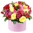 A vibrant and luxurious floral arrangement, overflowing with a rich assortment of fresh cut roses, artfully presented in a solid light pink cylindrical hat box. The bouquet is a symphony of colour, dominated by large-headed roses in shades of deep crimson red, sunny yellow, soft pastel pink, vibrant fuchsia pink, and elegant purple or magenta, with touches of lavender and creamy white to cool the spectrum. Interspersed among the main blooms are smaller rosebuds or spray roses in complementary pinks and yellows, and lush dark green foliage that threads through the dense display, peeking beyond the rim of the box to frame the dome. The high, compact arrangement forms a generous crown that spills slightly over the edge, while the box's smooth, matte finish adds a modern, refined accent. The lighting is bright yet gentle, giving each petal a velvety glow and casting soft shadows that add depth. The overall impression is one of romance, celebration, and warm generosity-ideal for expressing love, appreciation, or congratulations. In Stanmore and the surrounding NW London area, this piece can be delivered with same-day service to Stanmore, Canons Park, and Edgware, making it a reliable, stylish gift from a local florist for birthdays, anniversaries, or heartfelt thanks.