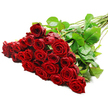 On a clean white field, a spectacular, large arrangement of red roses speaks of romance and enduring affection, lovingly assembled by Flowers Stanmore for Stanmore clients and their celebrations. The bouquet gathers approximately twenty-four to thirty-six long-stemmed roses, their petals a rich, velvety crimson that seems to glow with inner light. Leaves with a healthy gloss weave between the blooms, while the long green stems tilt diagonally upward to the right, forming a dynamic, upward arc that carries the eye through the composition.
Bright, even lighting reveals the satin texture of every petal and the lush density of the cluster, underscoring the bouquet's premium quality. This is a timeless gift for anniversaries, Valentine's Day, or a thoughtful gesture to mark a milestone for someone in Stanmore or the wider NW London area, with reliable same-day delivery available. The overall feel is generous, elegant, and quietly lavish-a statement of love that fits both a dinner table centerpiece and a doorstep greeting, delivered with careful care from Flowers Stanmore.
