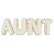 The photograph shows a personalised funeral flower tribute spelling out the word AUNT in large, structured capital letters, thoughtfully created to honour a special family member. Each letter is fully covered with tightly packed white chrysanthemums, forming a thick, cushioned layer of petals that gives the design a soft, comforting appearance despite its strong, blocky shape. The daisy-like flower heads sit shoulder to shoulder, their small petals overlapping in gentle waves that catch the light. Around the outside edge of each letter is a pale pink satin ribbon, carefully gathered into a ruffled trim that follows every line and angle. This soft pink border brings a tender, feminine note to the tribute, suggesting affection, kindness, and cherished memories. The letters are displayed side by side on a low supporting frame against a plain white background, under clear, even lighting that makes the whites appear bright and the pink ribbon delicately luminous. Occasional hints of yellow from the flower centres add a subtle warmth to the otherwise cool, calm palette. The overall effect is one of quiet dignity and heartfelt love, the kind of floral lettering you might see resting at the front of a funeral service in Stanmore or laid by the graveside after a final farewell. As a bespoke creation from local florists who regularly provide funeral flowers throughout Stanmore, this AUNT tribute offers families a simple yet deeply personal way to express their loss and gratitude, whether the arrangement is delivered to a church near Stanmore Hill, a crematorium in the wider area, or a family home where relatives gather to remember.