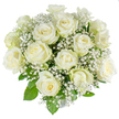 A peaceful, classic bouquet of roughly two dozen freshly opened white roses, each bloom arranged in a dense, rounded dome that reads like a quiet hymn. The roses display creamy inner petals that fold into tight spiral centers, graduating outward to broader, crisp white outer petals that catch soft daylight with a satin sheen. Interspersed throughout are airy clusters of baby's breath (Gypsophila), their tiny star-like flowers forming a misty veil that lightens the composition and offers a delicate, lace-like texture against the velvety rose petals. Deep green, glossy leaves peek out sparingly beneath the flowers, providing subtle structure and a cool contrast to the warm white tones. The arrangement sits against a clean white background, which heightens the sense of purity and calm and makes each petal edge and shadow clearly visible. When imagined up close, there is a gentle, familiar scent-fresh and faintly sweet-evoking early mornings in Stanmore Common where the air feels open and green. Made with the hands of an experienced florist, the bouquet's balanced dome shape and restrained foliage give it a refined, timeless elegance suited to weddings, christenings, or a thoughtful expression of sympathy. This design reads of new beginnings and quiet reverence; it offers a tactile softness-creamy centers, crisp outer petals, and a cloud of gypsophila-that invites both sight and memory. Perfect to place on a mantel or beside a bedside, it brings a composed and consoling presence to any meaningful moment in Stanmore or nearby Harrow.