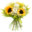 A bright, cheerful hand-tied bouquet is positioned against an immaculate white background, giving the impression that the flowers are glowing with their own light. Three prominent sunflowers form the central structure, their broad, golden-yellow petals radiating around richly textured, dark brown centers that bring an earthy depth to the design. Clustered closely around them are creamy white roses at varying stages of bloom, from partially closed buds to more open rosettes, their smooth, velvety petals curling inwards to create a sense of softness and elegance. Threaded between the larger blooms are small white daisy-like flowers, reminiscent of chamomile or feverfew, each with a bright yellow middle that mirrors the sunflowers and adds a playful, country-style charm, like something gathered from a garden off London Road in Stanmore. The bouquet is framed by airy, lime-green foliage that looks similar to solidago, its fine, feathery stems weaving gently through the arrangement, providing both fullness and a lively textural contrast to the broader petals of the main flowers. The stems are cut to a uniform length and brought together in a tight bundle, securely wrapped at the base with a strip of lime-green ribbon tied in a modest knot, leaving the ends to hang lightly. The lighting is clear and even, showcasing the crisp whites, sunny yellows, and fresh greens without distortion. Overall, the bouquet conveys an uncomplicated happiness and warmth, the sort of arrangement that could brighten a Stanmore kitchen table, accompany a thoughtful birthday card, or arrive as a same-day delivery surprise for a loved one living near Canons Park.