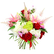 The bouquet in this image is a sumptuous hand-tied arrangement displayed against a bright white background, its colours and forms brought into sharp focus as if resting on a Stanmore florist's counter just before delivery. Deep red roses with velvety, tightly spiralled petals provide the emotional core, scattered throughout the design like rich jewels that suggest love, gratitude, or celebration. Rising among them are pink lilies in various stages of bloom: some fully open, their broad, silky petals flaring out to reveal pale interiors and delicate stamens, others still in elongated, gently pointed buds, edged with the softest green, hinting at scents and beauty still to come. The structure of the bouquet is supported by lavish clusters of ruffled white flowers, similar to cushioned hydrangeas or oversized carnations, which add volume, softness, and a creamy counterpoint to the deeper tones. At the centre rests a distinctive lime green dianthus globe, its finely textured, moss-like surface lending a fresh, contemporary energy reminiscent of new leaves in Stanmore's tree-lined streets. Airy plumes of light pink astilbe arise from the main cluster, feather-light and slightly arching, giving the arrangement movement and a romantic, ethereal feel. Dotted among the larger blossoms are small fuchsia and lavender flowers that introduce playful hints of extra colour, rewarding a closer look. Glossy dark green foliage weaves throughout, framing the brighter blooms and adding depth. The stems at the base are neatly trimmed and gathered together, secured with a slim, deep red satin ribbon that underscores the handcrafted nature of the design, making it a perfect choice for birthdays, anniversaries, or thoughtful same-day deliveries around Stanmore.