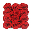 The photograph offers a straight-down view into a compact world of red, where twelve roses sit in a flawless 3x4 grid, each bloom perfectly matched in size, shape, and colour. The roses are so closely placed that their velvety petals press gently against one another, creating a dense, cushion-like field of crimson that immediately suggests passion and commitment. Every flower is fully open, yet still neatly defined, with the classic spiral at the centre drawing your gaze into layers of soft, overlapping petals. Light glides across their surfaces, picking out subtle variations in tone-from deep wine-red shadows tucked between the petals to brighter ruby highlights along the outer edges-adding richness without breaking the harmonious uniformity. At the very bottom of the frame, a narrow strip of dark, glossy material hints at the elegant presentation box cradling the arrangement, but the container remains largely hidden, allowing the roses themselves to take centre stage. The style feels modern and luxurious, the sort of considered gesture someone in Stanmore might send for a landmark anniversary, a romantic surprise delivered to a home near Stanmore Hill, or a special celebration dinner. These roses evoke the quality of long-lasting preserved blooms, chosen for their flawless form and enduring beauty. The overall impression is one of deep romance, meticulous craftsmanship, and a desire to create a memory that lingers long after the moment has passed.