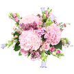 The photograph presents a generous, romantic bouquet bursting with pink and lilac tones, shown clearly against a pristine white background. At the core of the design are three large, rounded hydrangea heads in a delicate shade of pale pink, their countless, closely packed petals creating a cloud-soft, pillowy texture. Nestled between these billowy blooms are blush pink roses in different stages of opening: some are fully unfurled to reveal graceful spirals of petals, while others remain partially closed, adding depth and a sense of unfolding stories. Woven throughout the arrangement are fine clusters of waxflowers in deeper pinks and fuchsias, their tiny, star-like blossoms lending intricate texture and lively colour accents. From the edges, slender stems of bell-shaped campanulas in soft lavender and periwinkle blue gently arc outward, their nodding cups adding a whimsical, almost musical rhythm to the bouquet. Pockets of fresh greenery, including large hydrangea leaves and slender green sprigs, peek through the flowers, grounding the pastel palette and giving the impression of a bouquet freshly gathered from a well-tended garden near Stanmore station or along the leafy streets off Marsh Lane. The overall shape is full, domed, and slightly overflowing, yet every stem appears thoughtfully placed to keep the composition balanced. The mood is tender and joyful, making this bouquet a fitting choice for marking anniversaries, celebrating new beginnings in a Stanmore home, or sending warm wishes on Mother's Day. Its gentle hues and soft textures conjure a quiet, elegant charm that feels right at home in this peaceful North West London suburb.