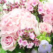 This image offers an intimate look at a hand-tied floral bouquet in shades of pink and lavender, evoking the refined calm of a Stanmore afternoon. A voluminous hydrangea head in soft light pink anchors the composition slightly toward the upper left, its myriad tiny petals forming a plush, cloud-like dome that sets the tone for the entire design. Nestled around this focal bloom are classic blush roses: on the lower left, a rose with rich, velvety petals opens in a near-perfect spiral, while on the mid-right another rose responds in kind, its petals gently curved and softly layered. Threaded through the larger flowers are delicate sprays of smaller, more saturated fuchsia and magenta blossoms, comparable to waxflower or phlox; each tiny star-shaped or five-petaled bloom with a darker centre dots the bouquet with lively, jewel-bright accents. Near the bottom right, a bell-shaped, pastel lavender flower-like a shy campanula-emerges, adding a cool lilac-blue tone that beautifully balances the warmth of the pinks. Surrounding everything, slender green stems and lush, dark leaves weave in and out, providing contrast and a feeling of freshness, as though the bouquet has just been arranged by Flowers Stanmore in a studio near the local high street. Gentle, diffused light falls across the arrangement, revealing the velvety texture of the roses, the delicate layering of the hydrangea petals, and the fine structure of the smaller blooms. The overall mood is soft and affectionate, making this bouquet perfect for birthdays, heartfelt apologies, or simply brightening a loved one's home anywhere around Stanmore.