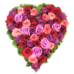 A perfectly formed heart of roses sits photographed from above, every inch dense with fully opened blooms that read as a single, sumptuous carpet. The palette is a deep, emotional chorus: velvety burgundy and crimson anchor the design, interwoven with classic scarlet, soft pastel blushes and coral pinks, then brightening into fuchsia and magenta before settling into pale lavender and richer plum purples. Each rose head shows layered, velvety petals with gently furled centers, their surfaces catching a soft, diffused light that emphasizes petal texture and the subtle sheen of freshness. The heart's edge is cradled by a narrow band of fine, dark green foliage-moss-like and springy-peeking between blooms to define the silhouette and lend a whisper of renewal to the composition. Seen from overhead, the arrangement reads as both intimate and monumental; tightly packed blooms eliminate gaps so the eye travels across a continuous field of colour and scent. The overall feeling is reverent and warm, a piece apt for romantic gestures, anniversary celebrations, Mother's Day tributes, or as a dignified memorial in moments of remembrance. As a local florist might note after arranging a similar tribute for deliveries around Stanmore tube and Canons Park, the work is as much about balance and rhythm as it is about colour-each rose placed to support its neighbours while preserving a lush, tactile surface. The soft perfume of roses seems almost visible in the photograph, promising the gentle, enveloping presence this heart-shaped bouquet brings to any bedside, mantel, or memorial setting.
